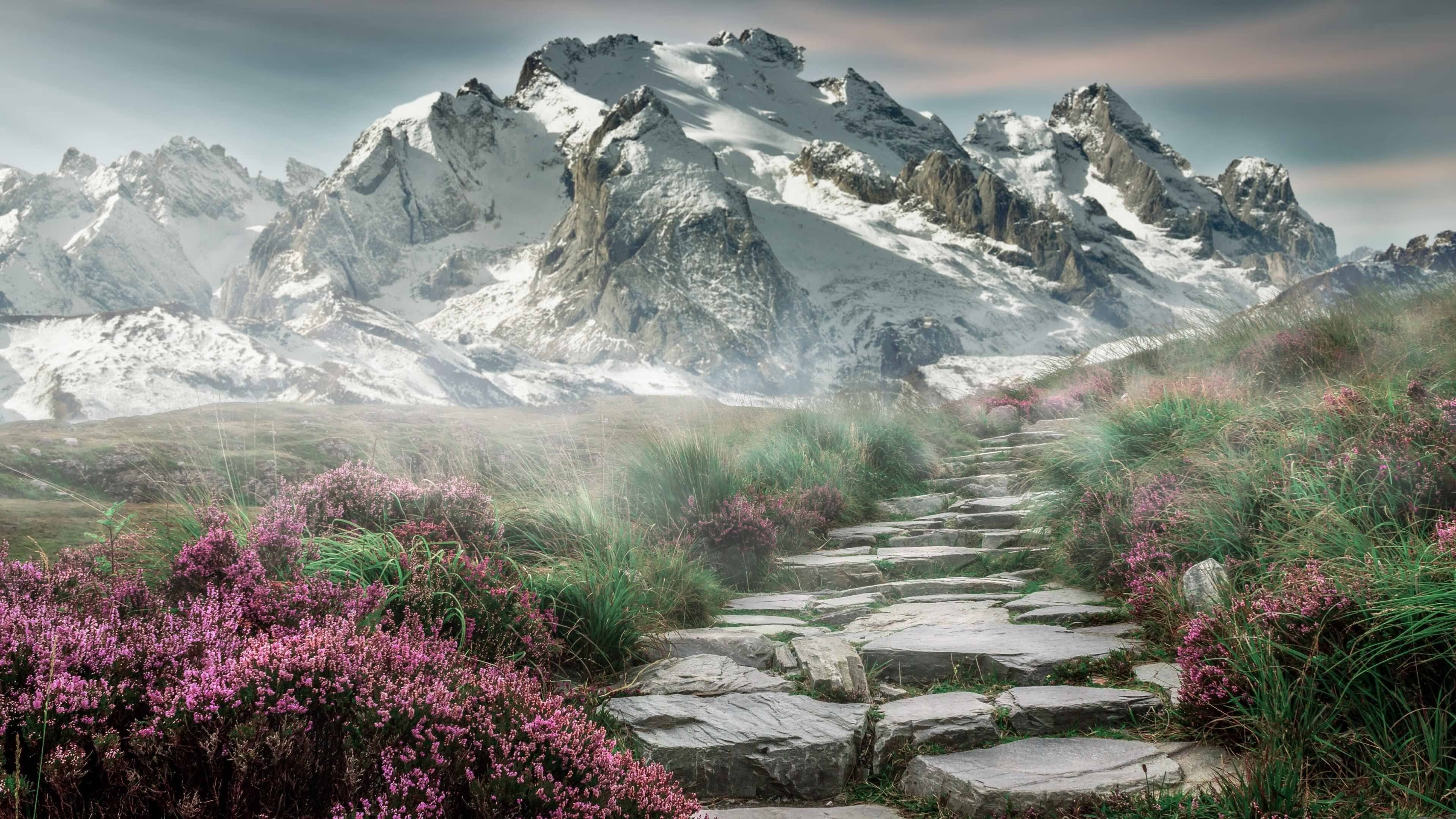 软件进化新里程，v7.2.5 新版正式发布，赋能未来智能体验